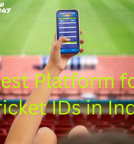 Best Platform for Cricket IDs in India