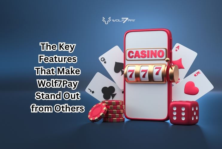 The Key Features That Make Wolf7Pay Stand Out from Others