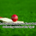 What Rules Should You Know Before Following Cricket Win Tips
