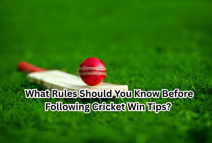 What Rules Should You Know Before Following Cricket Win Tips
